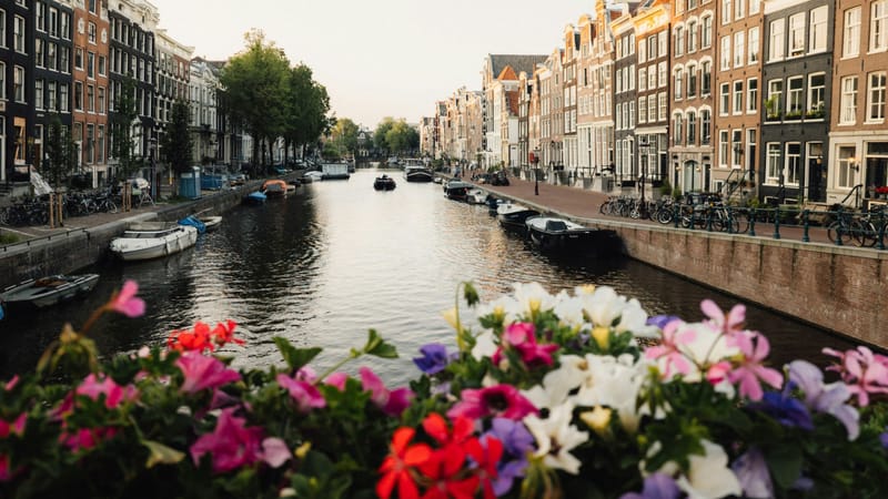 Kanál v Amsterdame s úzkymi štítovými domami a kvetmi na mostíku