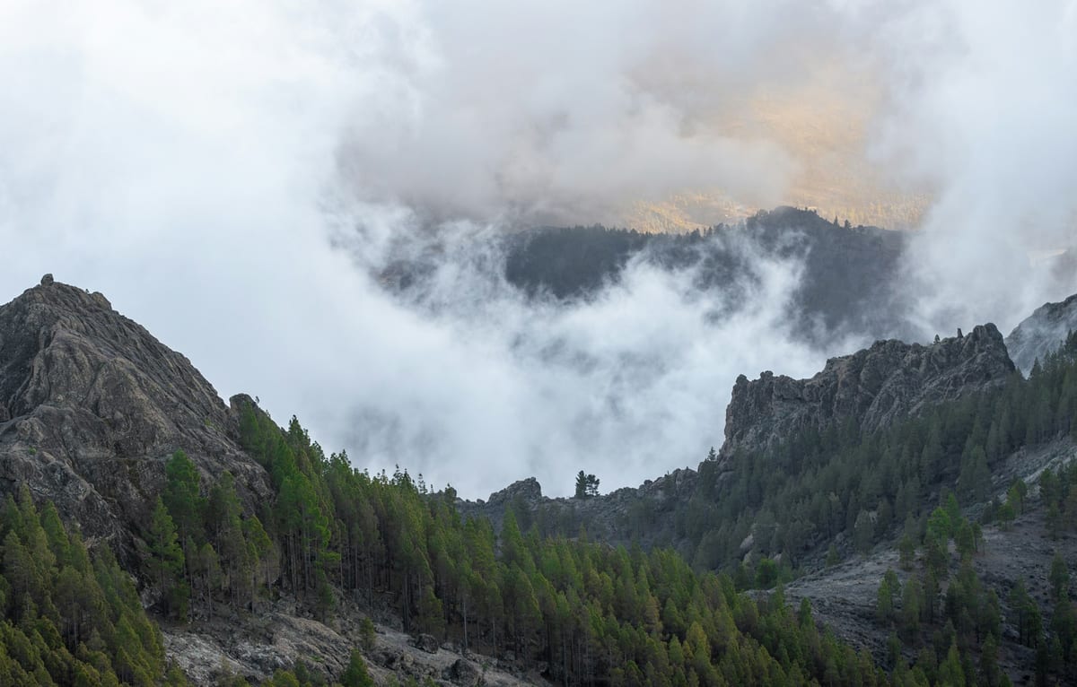 Oblaky sa valia cez zalesnené hrebene v horách pri Roque Nublo v strede Gran Canarie.