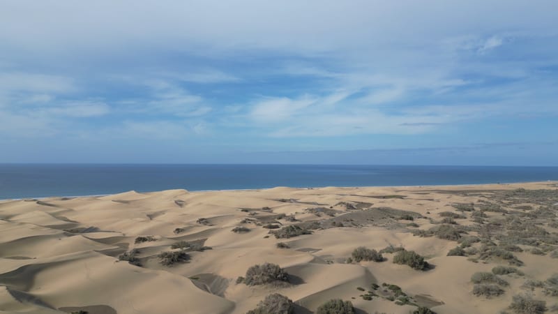 Piesočné duny Maspalomas s kríkmi a Atlantickým oceánom pod oblačnou oblohou na juhu Gran Canarie.