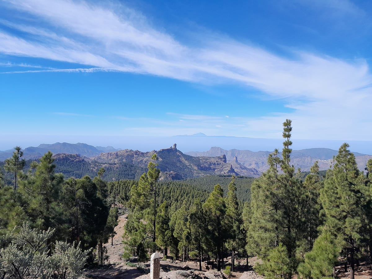 Borovicový les pri Pico de las Nieves s výhľadom na hory Gran Canarie a Teide na obzore.