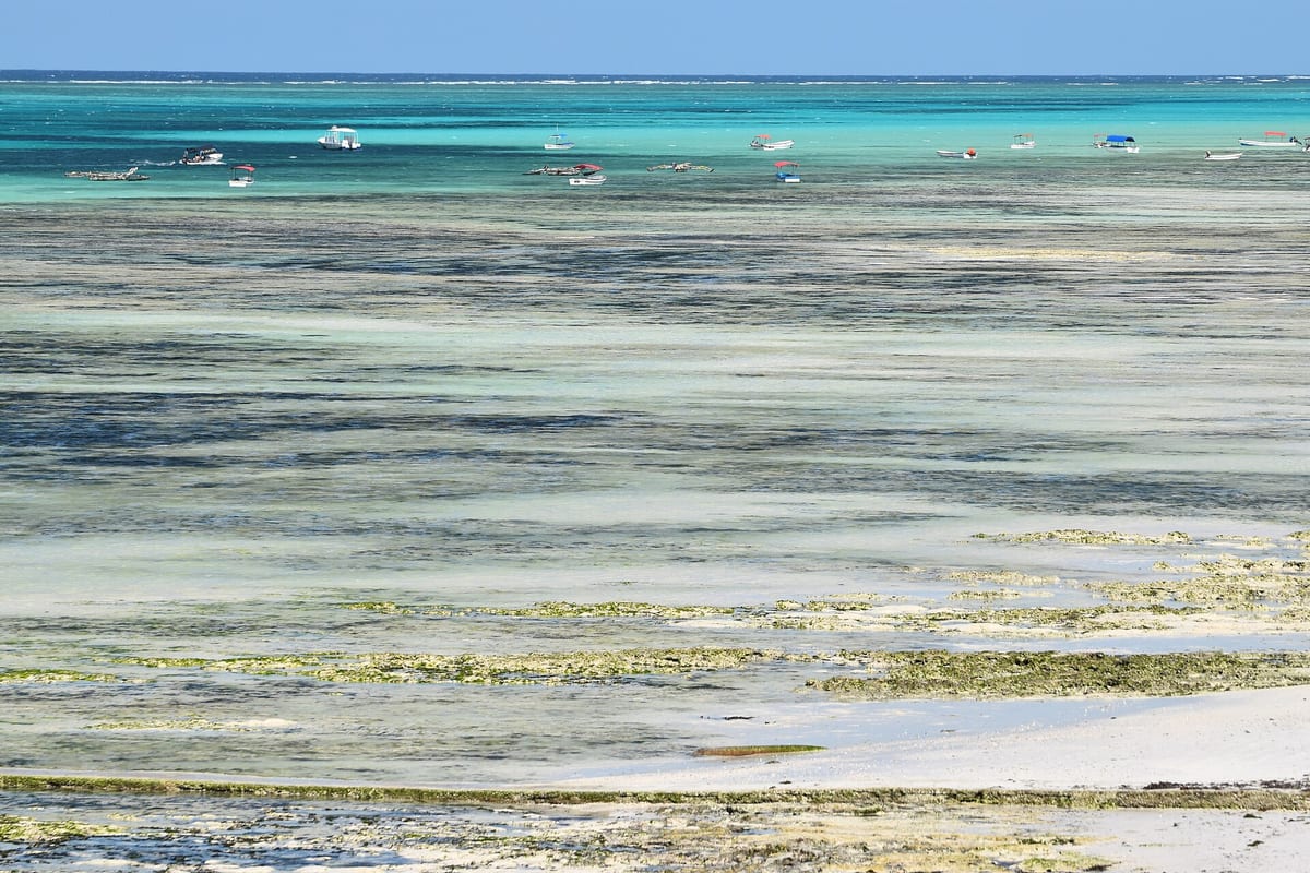 Plytká tyrkysová lagúna s loďkami pri odlive na Zanzibare