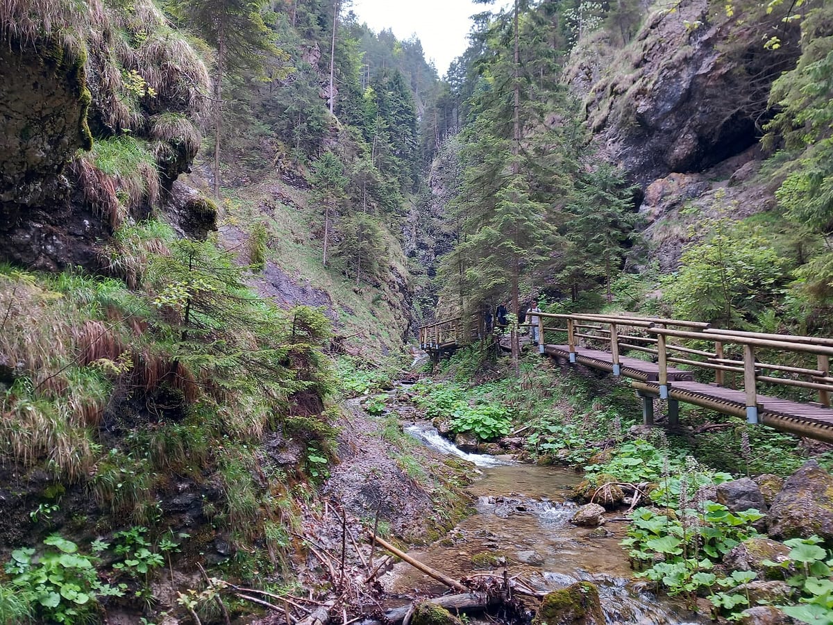 Drevená lávka nad potokom v rokline Dolných dier v Malej Fatre