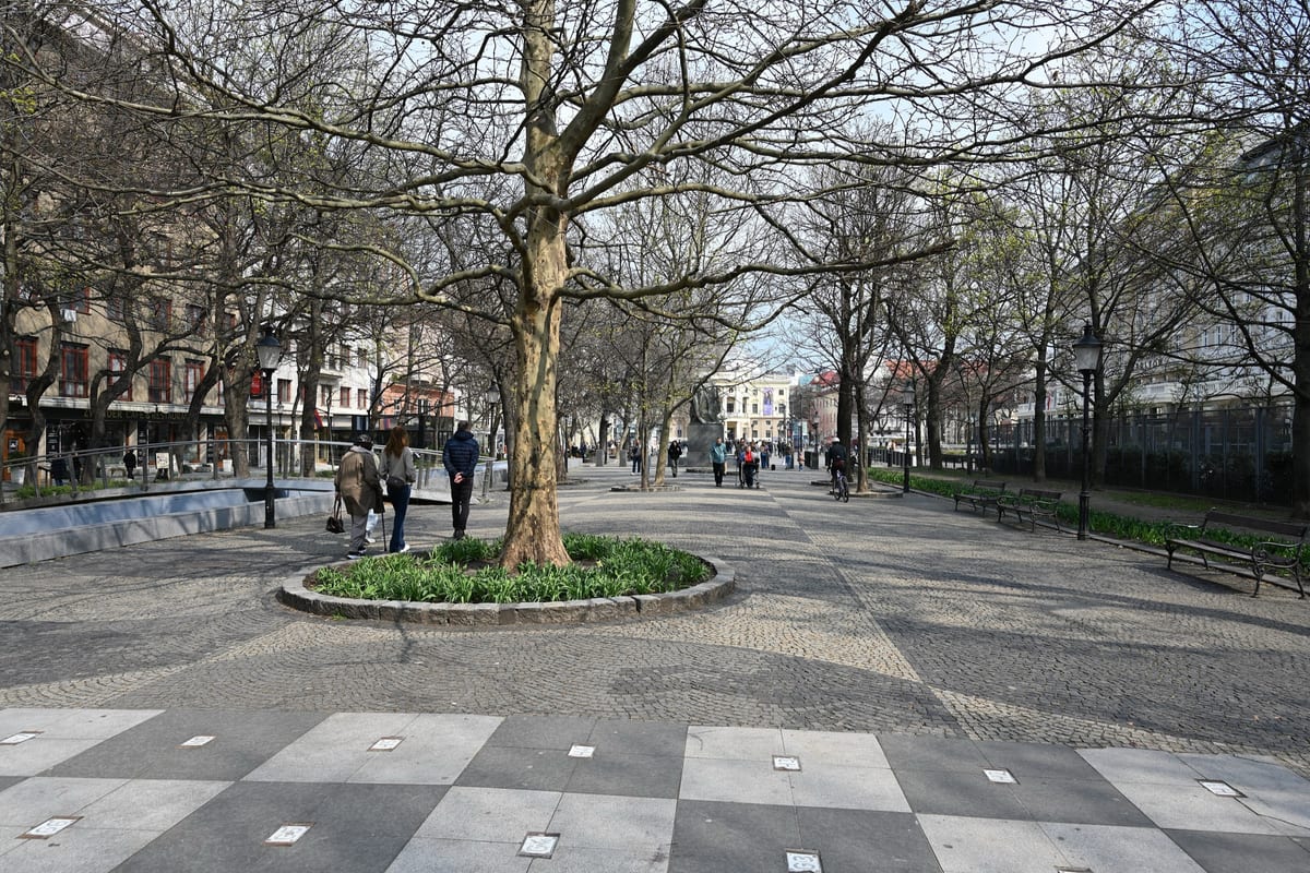 Promenáda na Hviezdoslavovom námestí v Bratislave s platanmi a sochou P. O. Hviezdoslava v diaľke