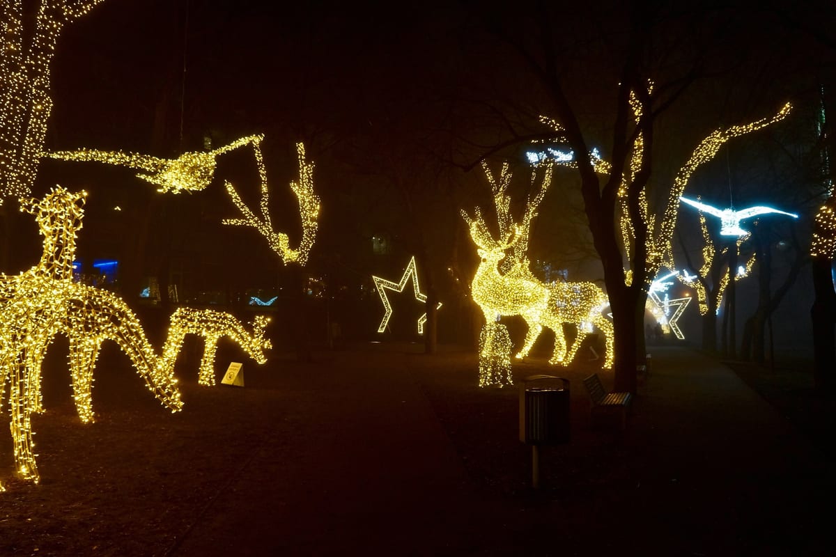Svetelné jelene, vtáky a hviezda z vianočnej výzdoby svietia v noci na Námestí sv. Egídia v Poprade.