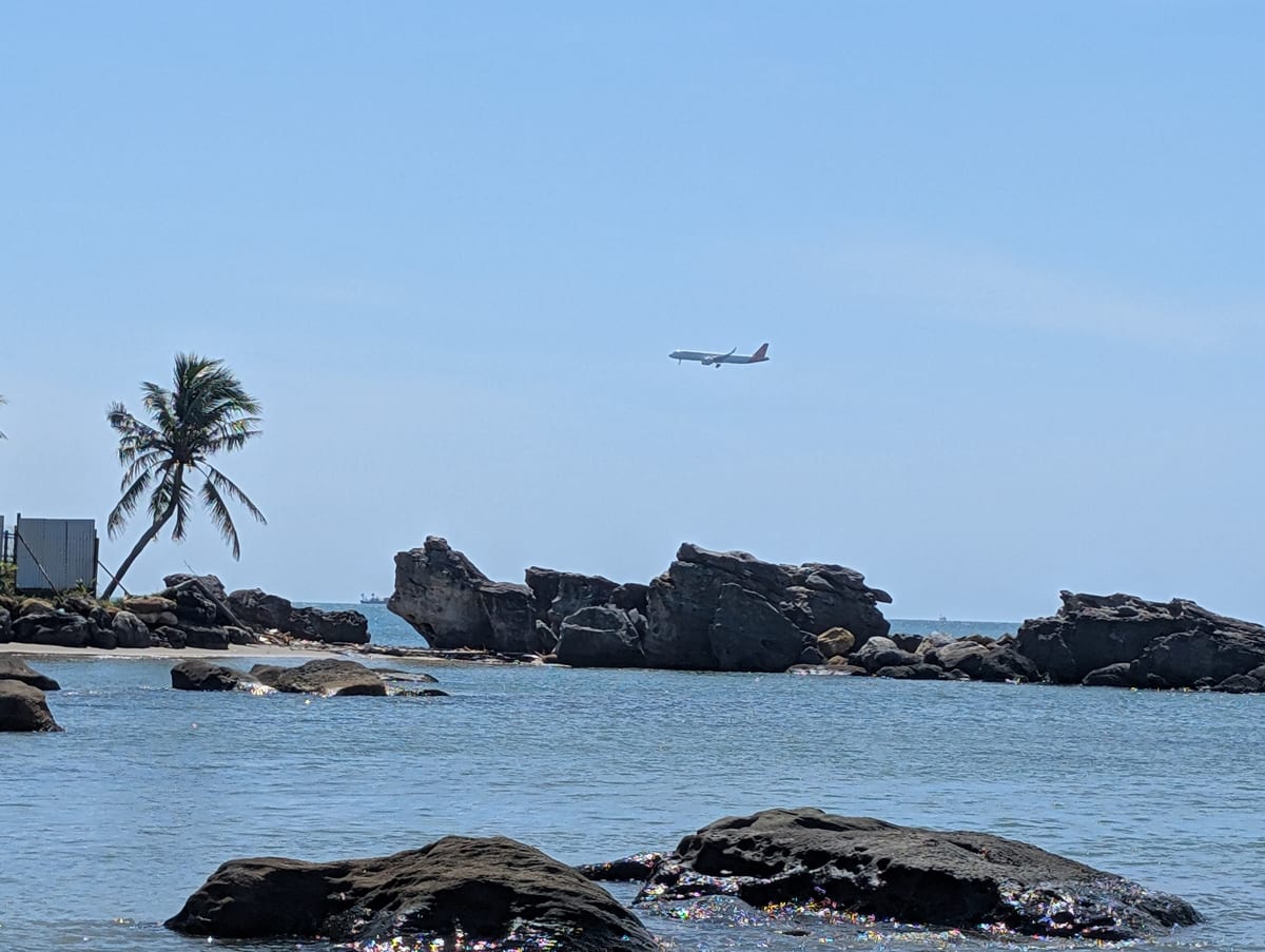 Lietadlo nad skalnatým pobrežím s palmou na ostrove Phu Quoc